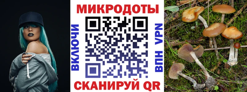мега ТОР  цены   Руза  Галлюциногенные грибы Psilocybe 